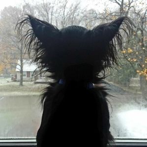 Meet your Posher, Jean